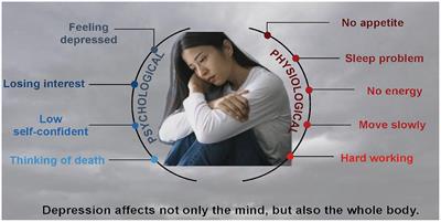 Neuroendocrine pathogenesis of perimenopausal depression